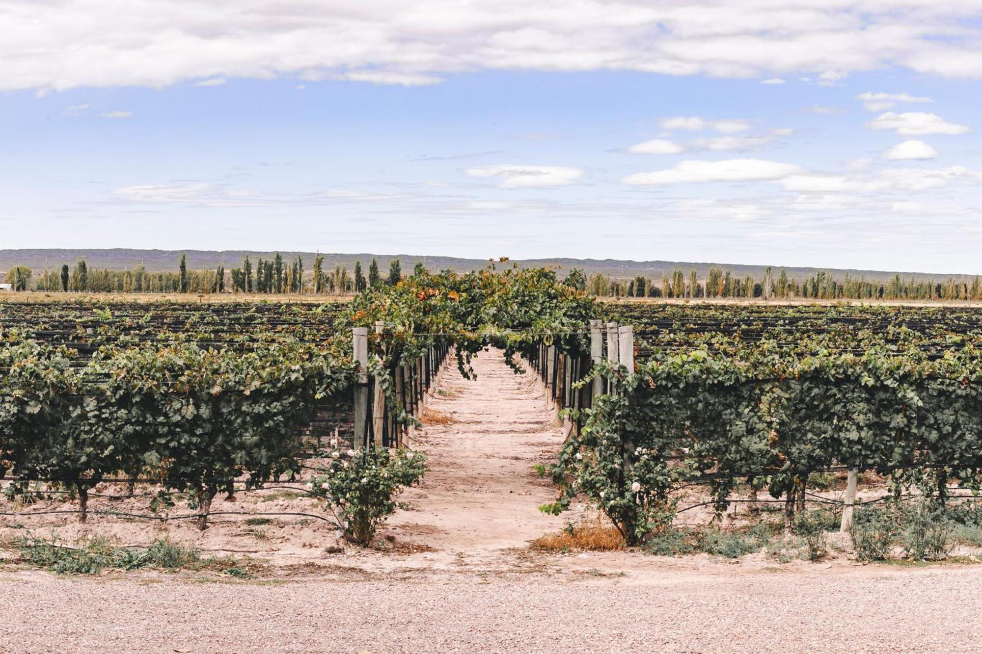 Enlace Wine House Lujan de Cuyo Exterior foto
